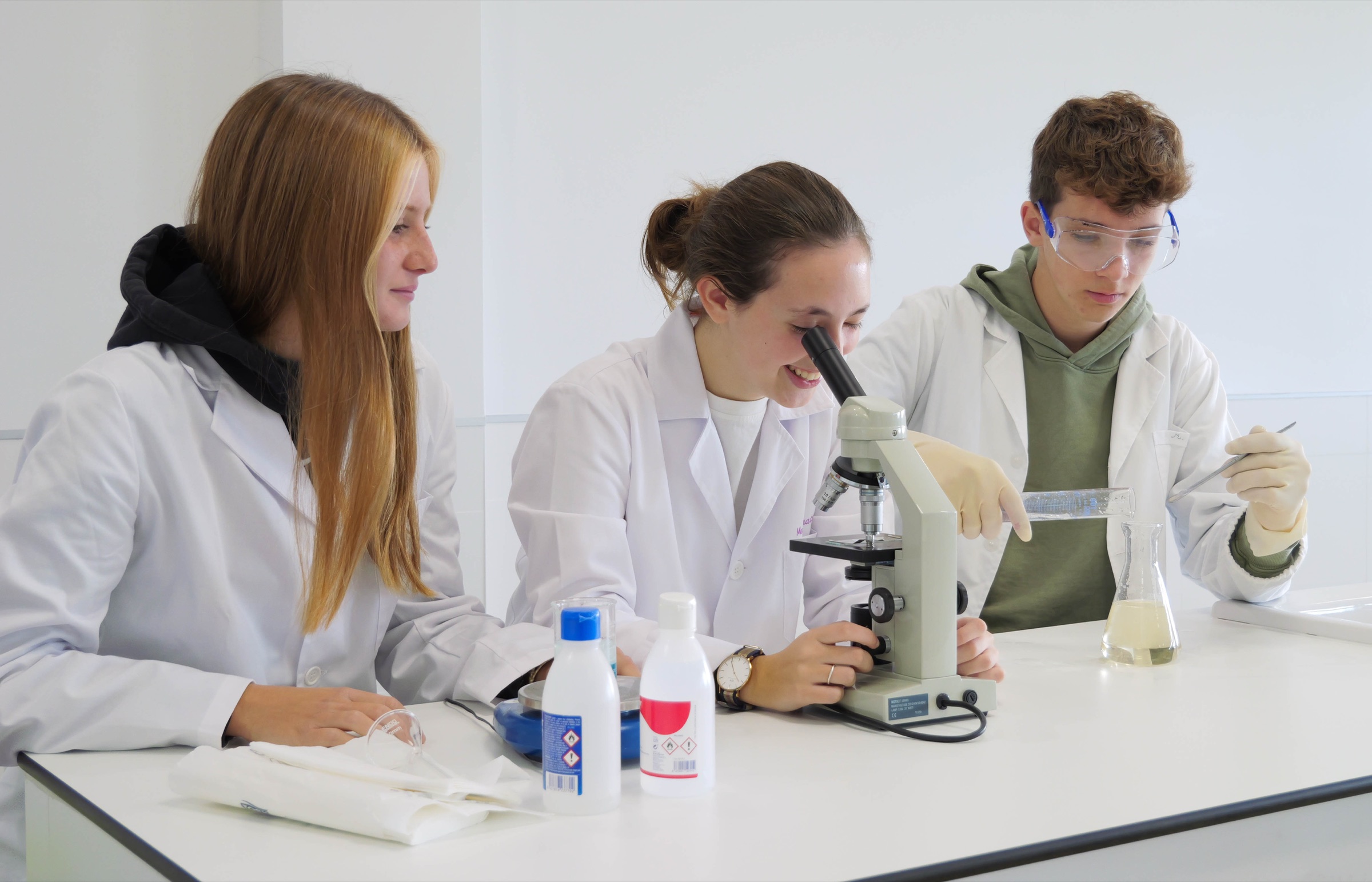 Cultura de la Investigación